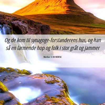 Picture 06 - Markus 5:38 NORSK - Og de kom til synagoge-forstanderens hus, og han - Bible Verse Picture