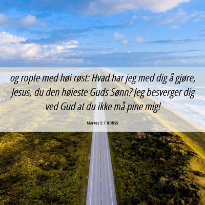 Picture 06 - Markus 5:7 NORSK - og ropte med høi røst: Hvad har jeg med dig å - Bible Verse Picture