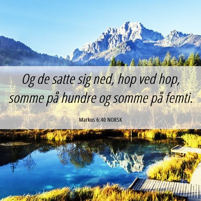 Picture 06 - Markus 6:40 NORSK - Og de satte sig ned, hop ved hop, somme på - Bible Verse Picture