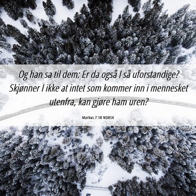 Picture 06 - Markus 7:18 NORSK - Og han sa til dem: Er da også I så - Bible Verse Picture