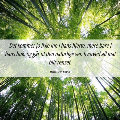 Picture 06 - Markus 7:19 NORSK - Det kommer jo ikke inn i hans hjerte, mere bare i - Bible Verse Picture