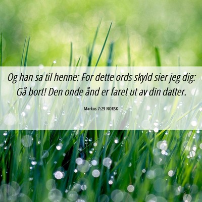 Picture 06 - Markus 7:29 NORSK - Og han sa til henne: For dette ords skyld sier - Bible Verse Picture