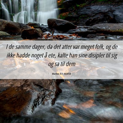 Picture 06 - Markus 8:1 NORSK - I de samme dager, da det atter var meget folk, og - Bible Verse Picture
