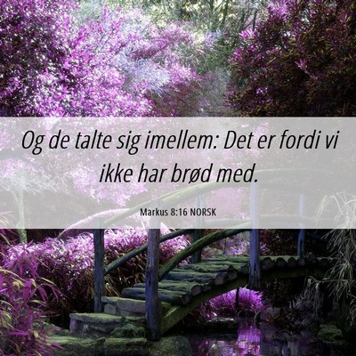 Picture 06 - Markus 8:16 NORSK - Og de talte sig imellem: Det er fordi vi ikke har - Bible Verse Picture