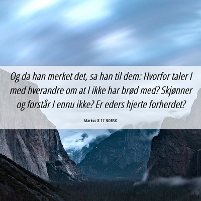 Picture 06 - Markus 8:17 NORSK - Og da han merket det, sa han til dem: Hvorfor - Bible Verse Picture