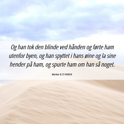 Picture 06 - Markus 8:23 NORSK - Og han tok den blinde ved hånden og førte ham - Bible Verse Picture