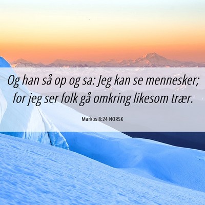 Picture 06 - Markus 8:24 NORSK - Og han så op og sa: Jeg kan se mennesker; for - Bible Verse Picture