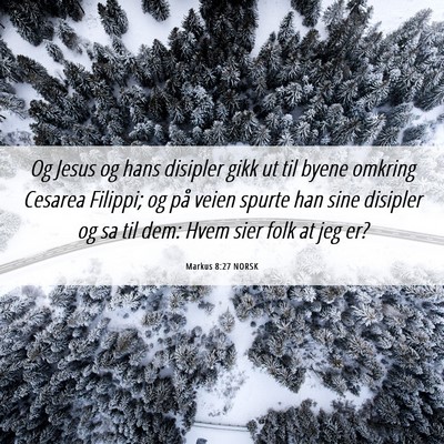 Picture 06 - Markus 8:27 NORSK - Og Jesus og hans disipler gikk ut til byene - Bible Verse Picture