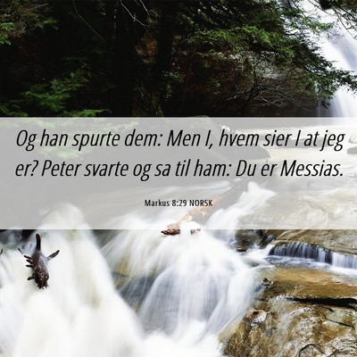 Picture 06 - Markus 8:29 NORSK - Og han spurte dem: Men I, hvem sier I at jeg er? - Bible Verse Picture