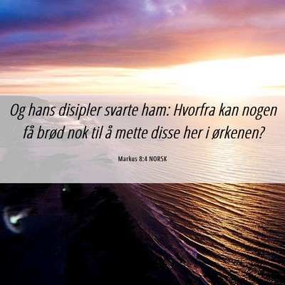 Picture 06 - Markus 8:4 NORSK - Og hans disipler svarte ham: Hvorfra kan nogen - Bible Verse Picture