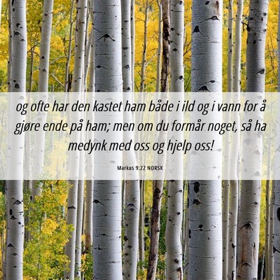 Picture 06 - Markus 9:22 NORSK - og ofte har den kastet ham både i ild og i vann - Bible Verse Picture