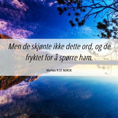 Picture 06 - Markus 9:32 NORSK - Men de skjønte ikke dette ord, og de fryktet for - Bible Verse Picture