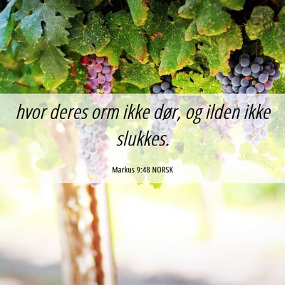 Picture 06 - Markus 9:48 NORSK - hvor deres orm ikke dør, og ilden ikke - Bible Verse Picture