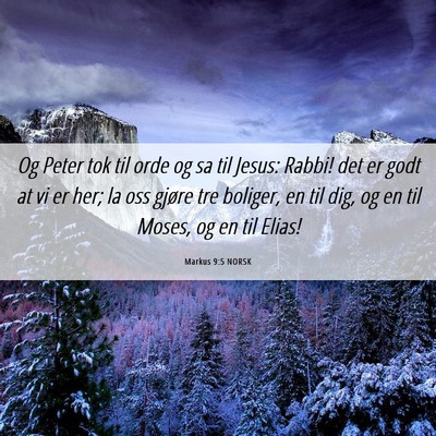 Picture 06 - Markus 9:5 NORSK - Og Peter tok til orde og sa til Jesus: Rabbi! det - Bible Verse Picture