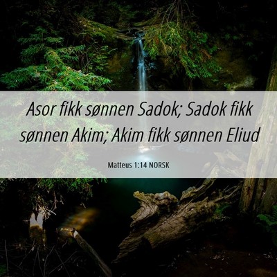Picture 06 - Matteus 1:14 NORSK - Asor fikk sønnen Sadok; Sadok fikk sønnen Akim; - Bible Verse Picture