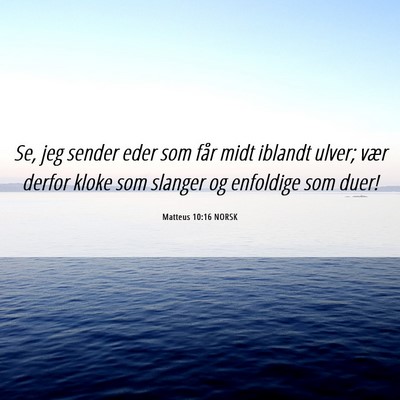 Picture 06 - Matteus 10:16 NORSK - Se, jeg sender eder som får midt iblandt ulver; - Bible Verse Picture