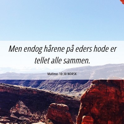 Picture 06 - Matteus 10:30 NORSK - Men endog hårene på eders hode er tellet alle - Bible Verse Picture