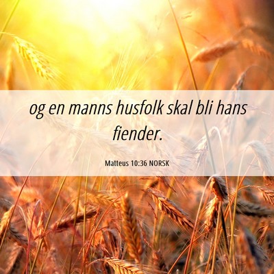 Picture 06 - Matteus 10:36 NORSK - og en manns husfolk skal bli hans - Bible Verse Picture