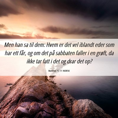 Picture 06 - Matteus 12:11 NORSK - Men han sa til dem: Hvem er det vel iblandt eder - Bible Verse Picture