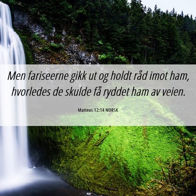 Picture 06 - Matteus 12:14 NORSK - Men fariseerne gikk ut og holdt råd imot ham, - Bible Verse Picture
