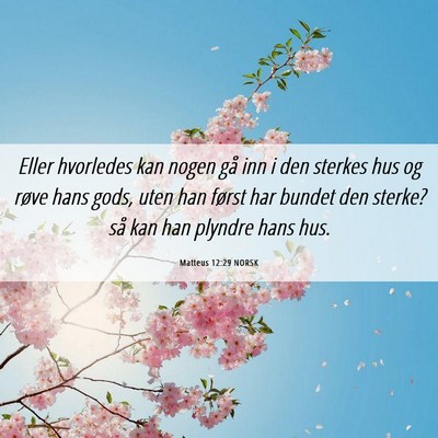 Picture 06 - Matteus 12:29 NORSK - Eller hvorledes kan nogen gå inn i den sterkes - Bible Verse Picture