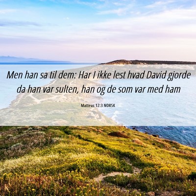 Picture 06 - Matteus 12:3 NORSK - Men han sa til dem: Har I ikke lest hvad David - Bible Verse Picture