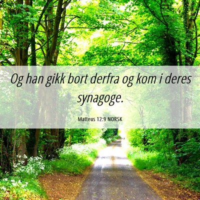 Picture 06 - Matteus 12:9 NORSK - Og han gikk bort derfra og kom i deres - Bible Verse Picture