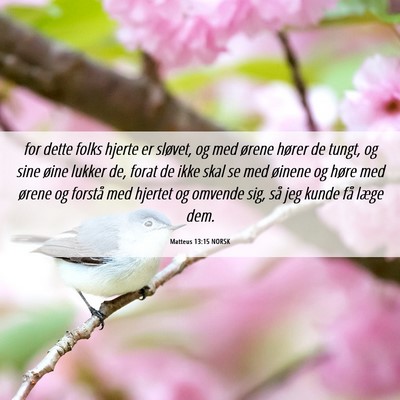 Picture 06 - Matteus 13:15 NORSK - for dette folks hjerte er sløvet, og med ørene - Bible Verse Picture