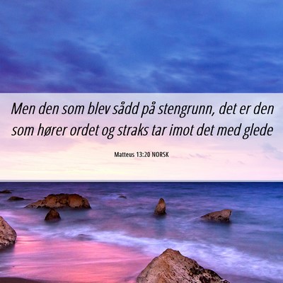 Picture 06 - Matteus 13:20 NORSK - Men den som blev sådd på stengrunn, det er den - Bible Verse Picture