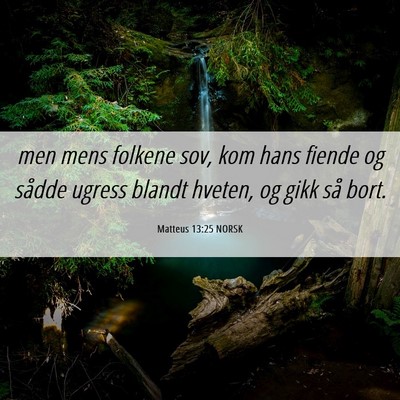 Picture 06 - Matteus 13:25 NORSK - men mens folkene sov, kom hans fiende og sådde - Bible Verse Picture