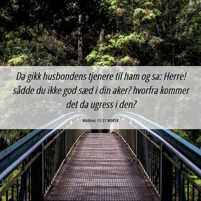 Picture 06 - Matteus 13:27 NORSK - Da gikk husbondens tjenere til ham og sa: Herre! - Bible Verse Picture