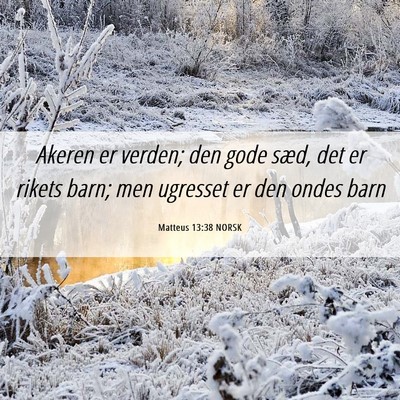 Picture 06 - Matteus 13:38 NORSK - Akeren er verden; den gode sæd, det er rikets - Bible Verse Picture