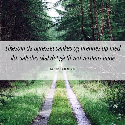 Picture 06 - Matteus 13:40 NORSK - Likesom da ugresset sankes og brennes op med ild, - Bible Verse Picture