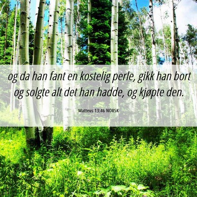 Picture 06 - Matteus 13:46 NORSK - og da han fant en kostelig perle, gikk han bort - Bible Verse Picture