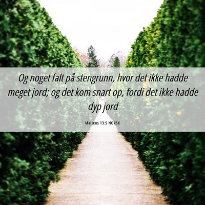 Picture 06 - Matteus 13:5 NORSK - Og noget falt på stengrunn, hvor det ikke hadde - Bible Verse Picture
