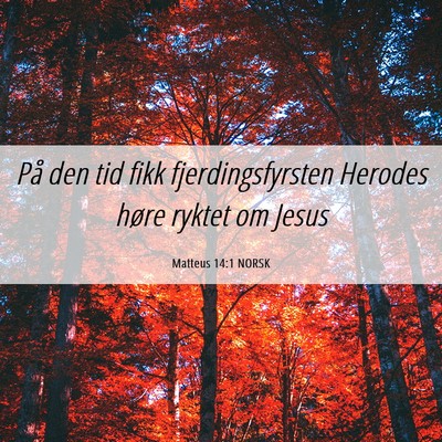 Picture 06 - Matteus 14:1 NORSK - På den tid fikk fjerdingsfyrsten Herodes høre - Bible Verse Picture