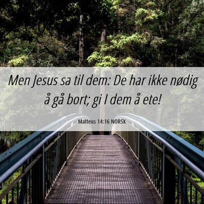 Picture 06 - Matteus 14:16 NORSK - Men Jesus sa til dem: De har ikke nødig å gå - Bible Verse Picture