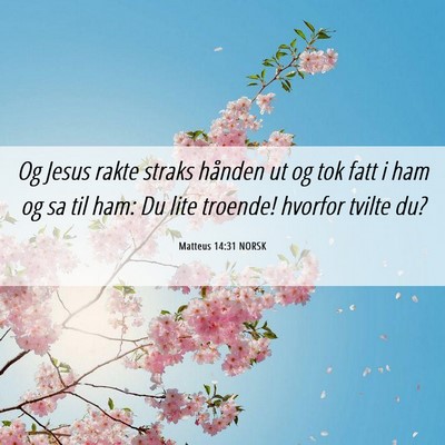 Picture 06 - Matteus 14:31 NORSK - Og Jesus rakte straks hånden ut og tok fatt i - Bible Verse Picture
