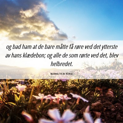 Picture 06 - Matteus 14:36 NORSK - og bad ham at de bare måtte få røre ved det - Bible Verse Picture
