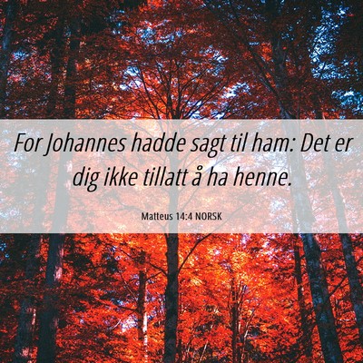 Picture 06 - Matteus 14:4 NORSK - For Johannes hadde sagt til ham: Det er dig ikke - Bible Verse Picture