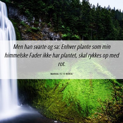 Picture 06 - Matteus 15:13 NORSK - Men han svarte og sa: Enhver plante som min - Bible Verse Picture