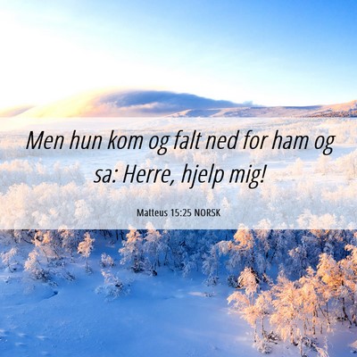 Picture 06 - Matteus 15:25 NORSK - Men hun kom og falt ned for ham og sa: Herre, - Bible Verse Picture