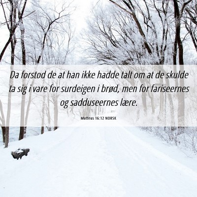 Picture 06 - Matteus 16:12 NORSK - Da forstod de at han ikke hadde talt om at de - Bible Verse Picture