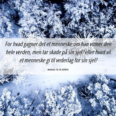 Picture 06 - Matteus 16:26 NORSK - For hvad gagner det et menneske om han vinner den - Bible Verse Picture