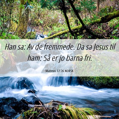 Picture 06 - Matteus 17:26 NORSK - Han sa: Av de fremmede. Da sa Jesus til ham: Så - Bible Verse Picture