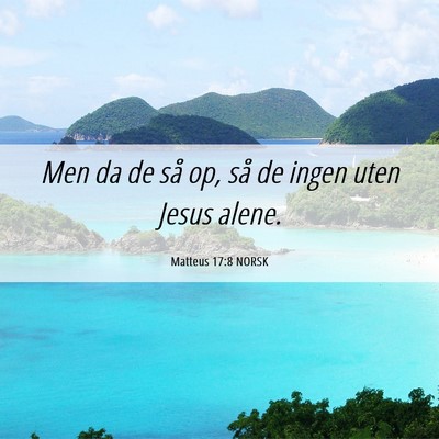 Picture 06 - Matteus 17:8 NORSK - Men da de så op, så de ingen uten Jesus - Bible Verse Picture