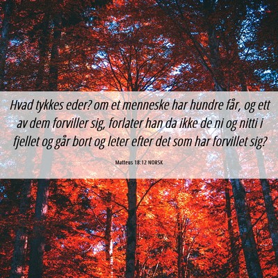 Picture 06 - Matteus 18:12 NORSK - Hvad tykkes eder? om et menneske har hundre får, - Bible Verse Picture