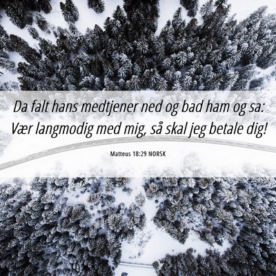 Picture 06 - Matteus 18:29 NORSK - Da falt hans medtjener ned og bad ham og sa: Vær - Bible Verse Picture
