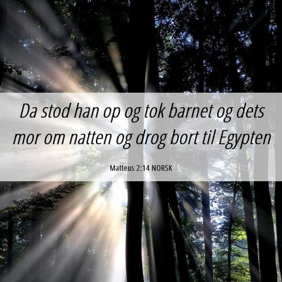 Picture 06 - Matteus 2:14 NORSK - Da stod han op og tok barnet og dets mor om - Bible Verse Picture