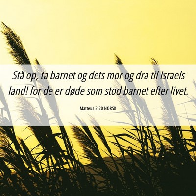Picture 06 - Matteus 2:20 NORSK - Stå op, ta barnet og dets mor og dra til Israels - Bible Verse Picture